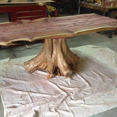 Raw Material For Live Edge Stump Furniture Available!